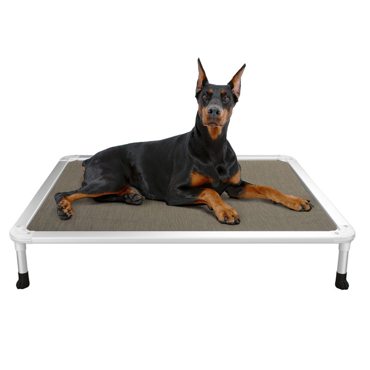 Pvc raised hot sale dog bed